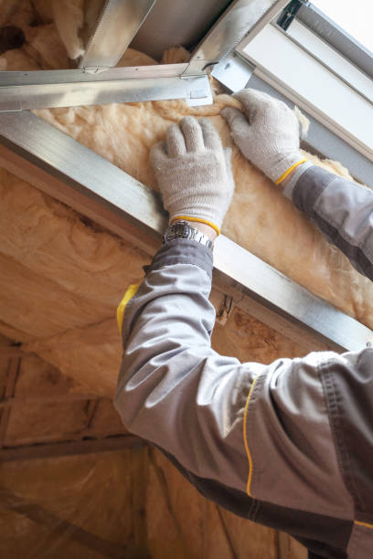 Professional Insulation Contractor in AZ